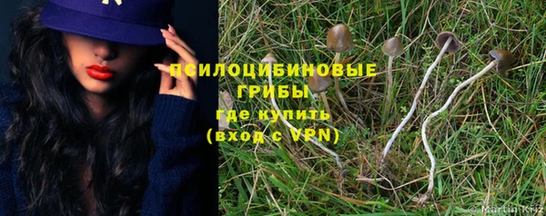 прущая мука Сатка