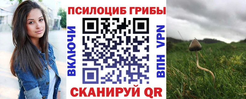 Псилоцибиновые грибы мицелий Дедовск