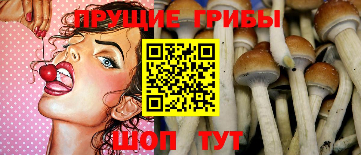 Дедовск  Галлюциногенные грибы Magic Shrooms  Вход с VPN 