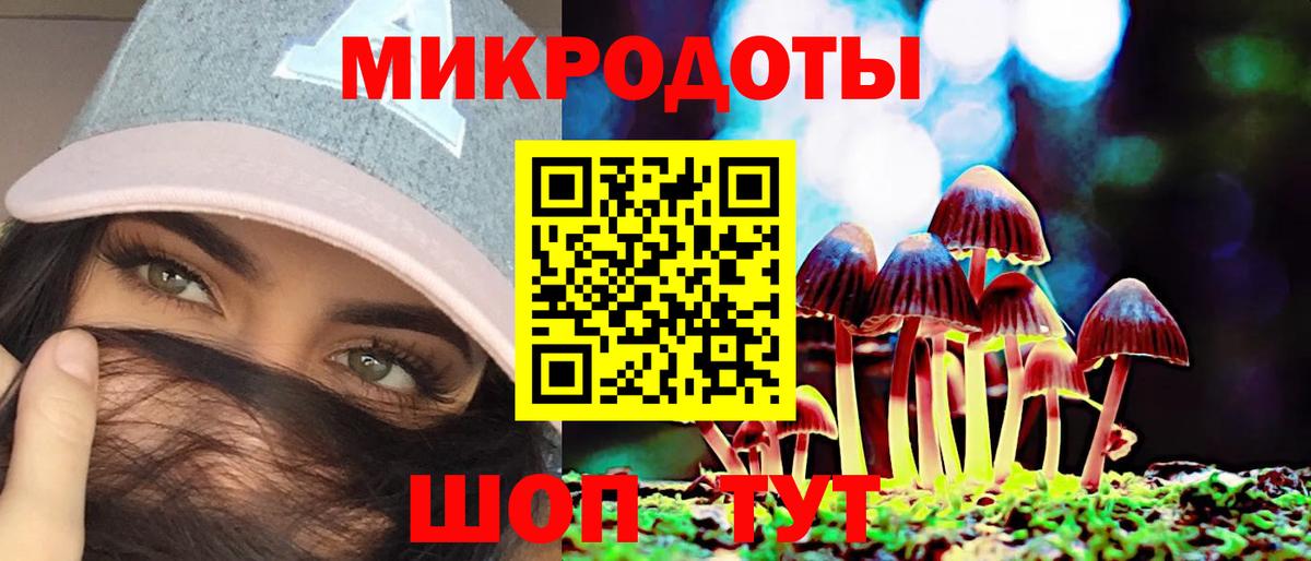 Псилоцибиновые грибы Psilocybine cubensis Дедовск
